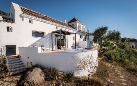 Steps down lead to semi-wild rock garden